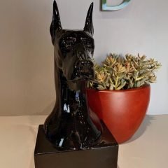 BUSTO